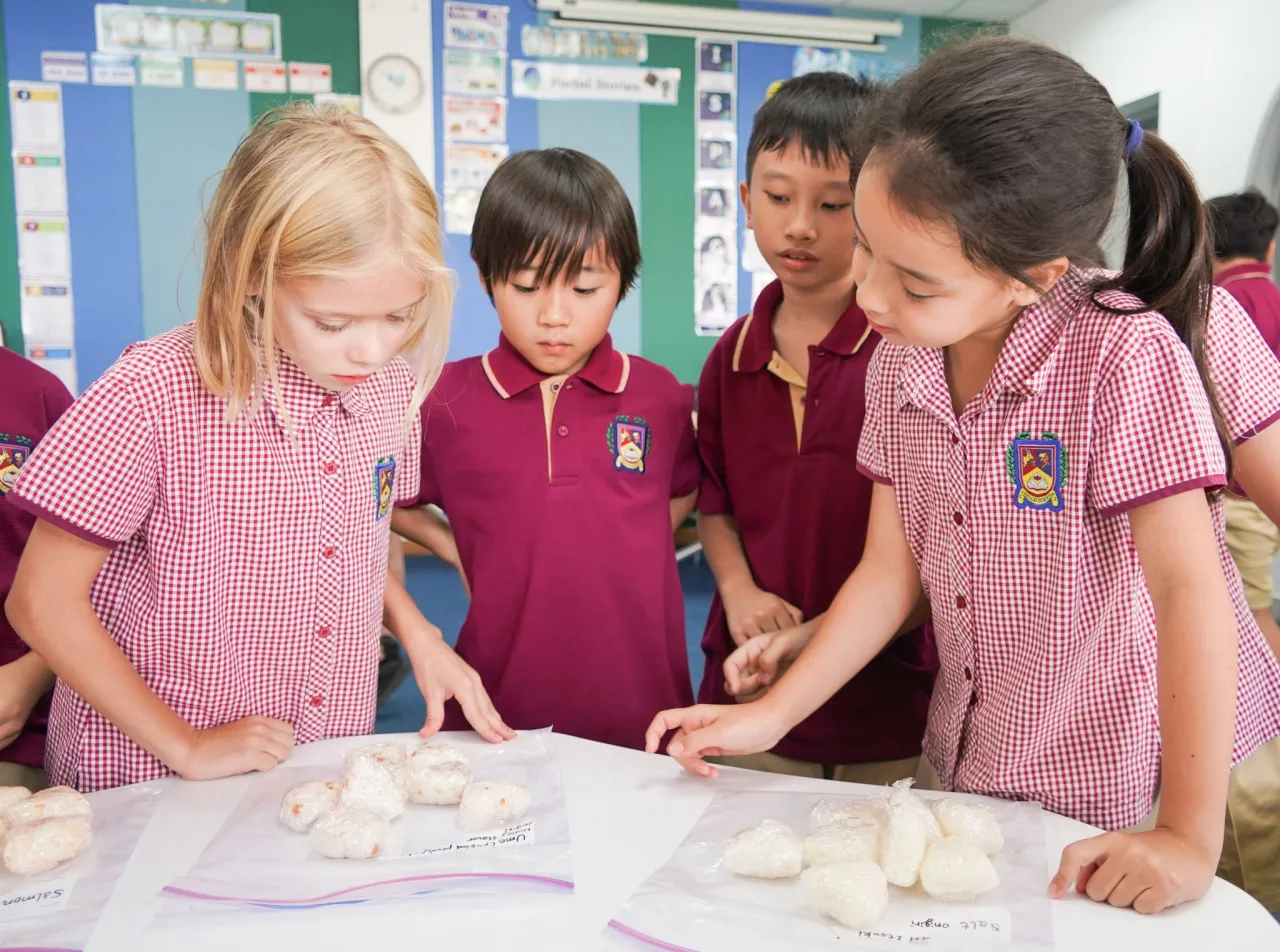 BIS - British International School