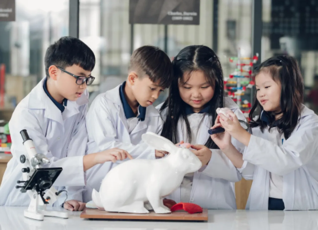 Hệ thống Trường PennSchool