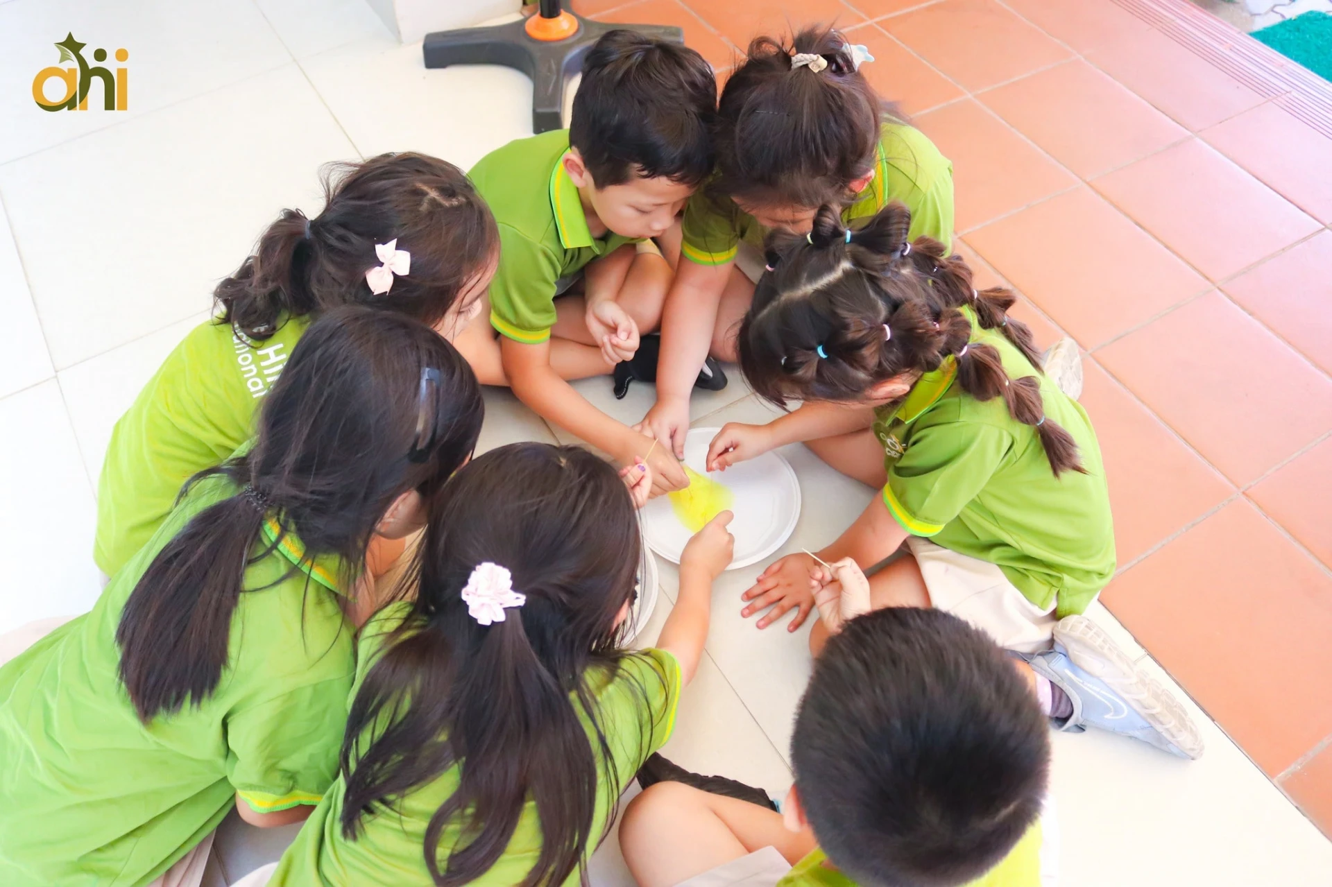 Trường Anne Hill International School