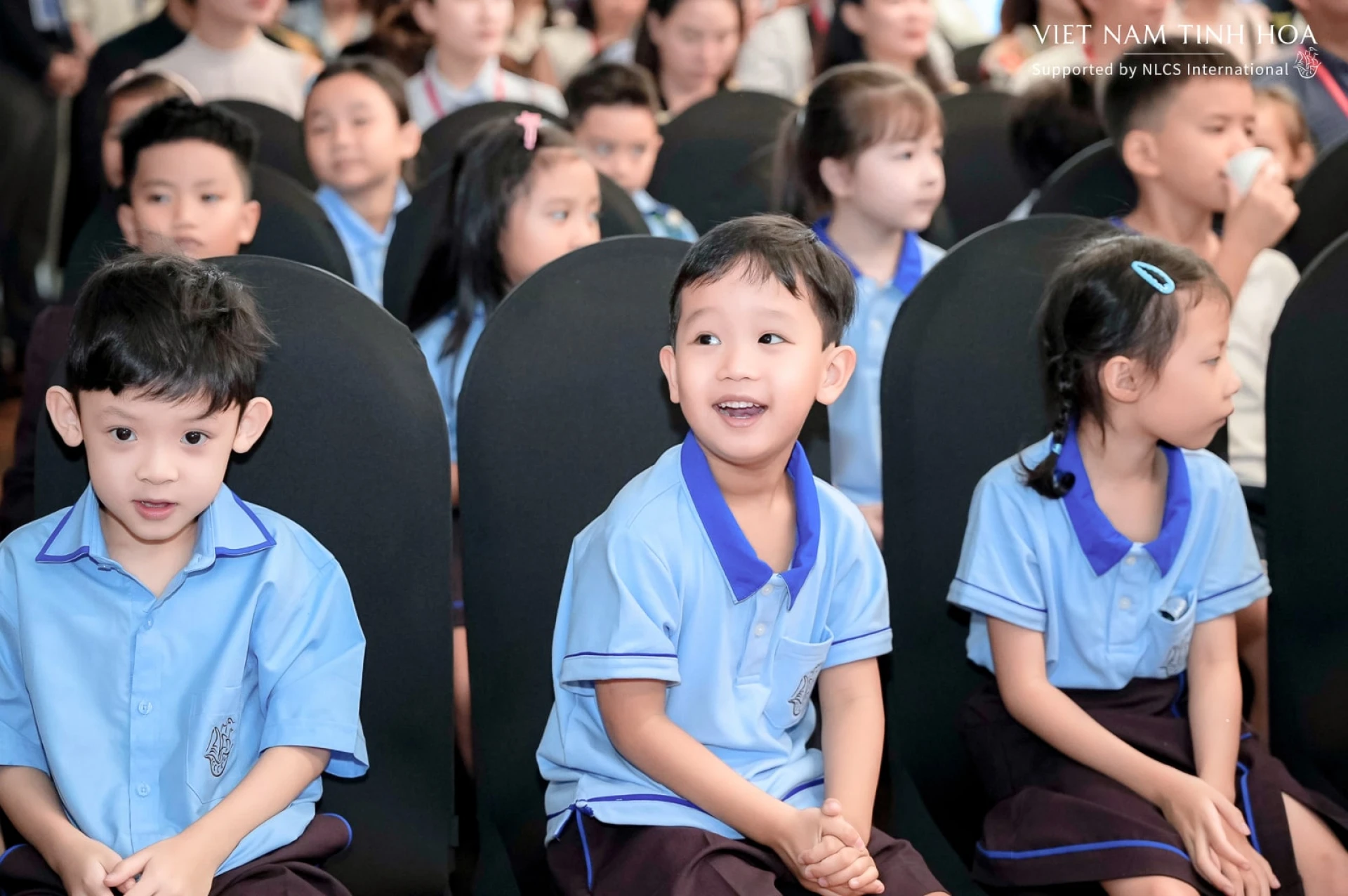 Trường Việt Nam Tinh hoa