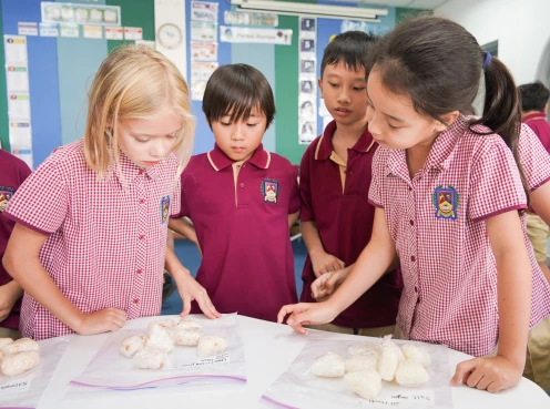 bis-british-international-school