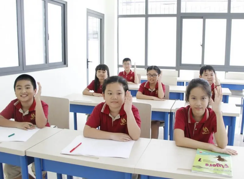 hệ thống trường việt mỹ  